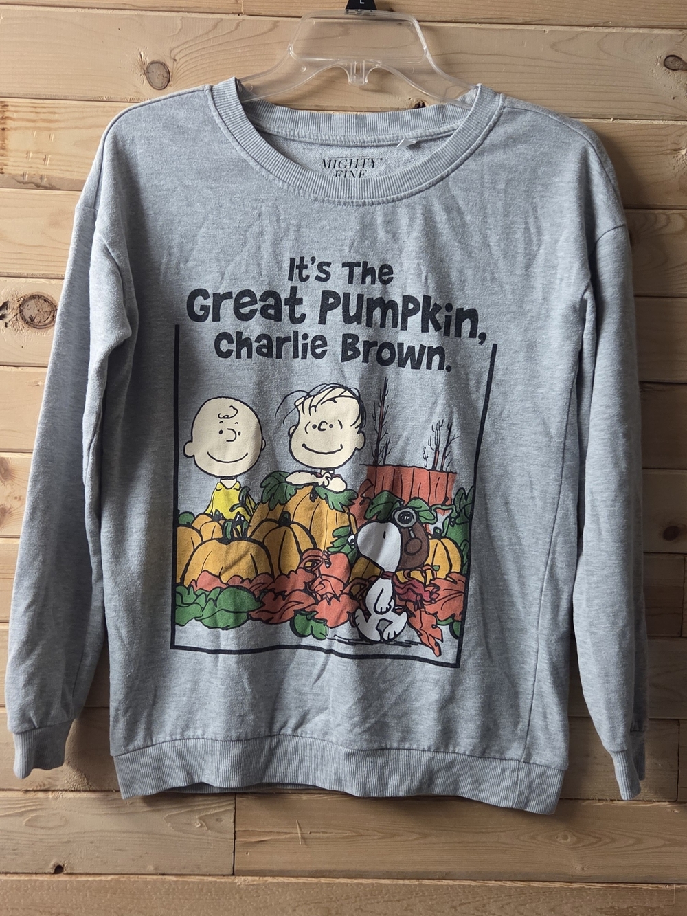 Peanuts Its The Great Pumpkin, Charlie Brown Crewneck Sweatshirt EUC Size XS